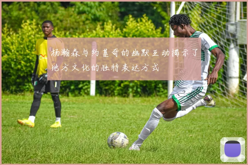 杨瀚森与约基奇的幽默互动揭示了地方文化的独特表达方式